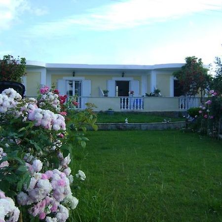Zante Summer Retreats - Marietta'S Apartment2 Drosia 킵셀리 외부 사진