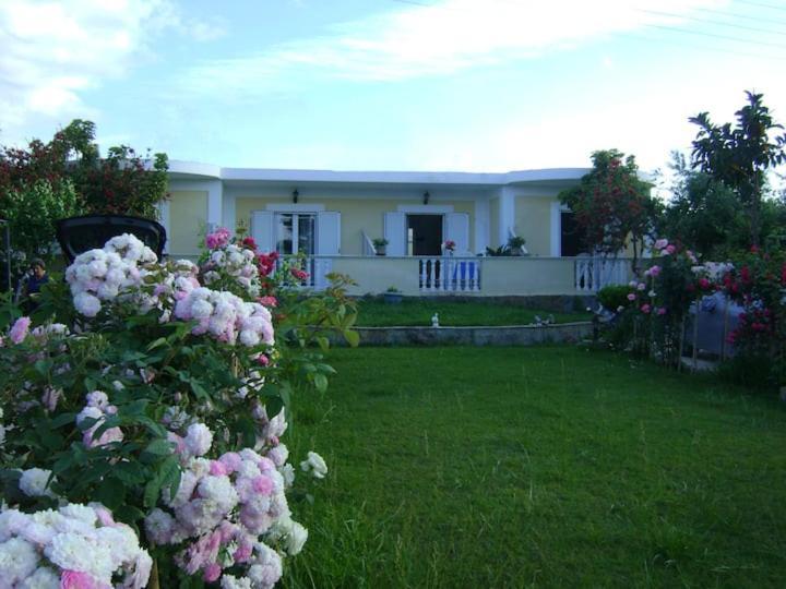 Zante Summer Retreats - Marietta'S Apartment2 Drosia 킵셀리 외부 사진